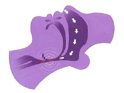 Snoring Dr. Stephen Petinge, DMD. Stephen Petinge DMD. General, Cosmetic, Restorative, Preventative, Family Dentist, Dental Implants, TMJ/TMD, Emergency Dentistry, Crowns & Bridges, Teeth Whitening, Sleep Apnea Appliances, Sedation dentistry . Dentist in Saugus, MA 01906 Top-notch dentist in Saugus, MA 01906